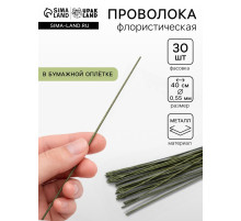 Флористическая проволока в бумажной оплётке «Зелёная», длина 40 см, 0.55 мм, набор 30 шт.