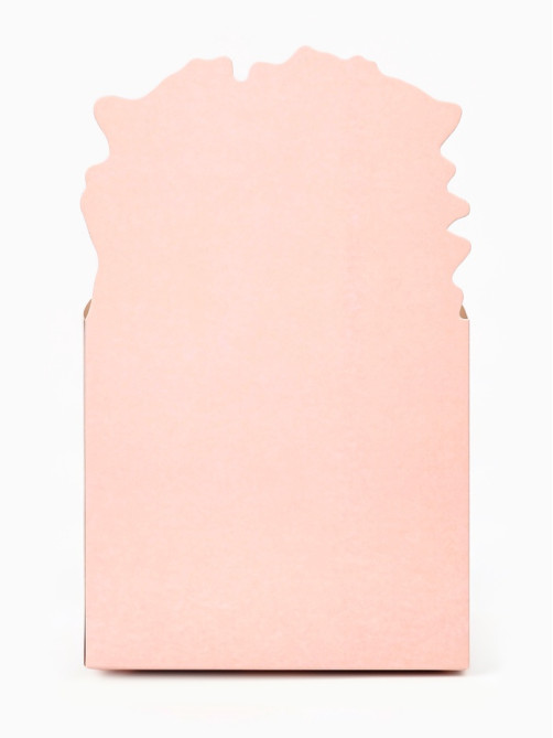 Коробка для мини букетов «Мечтай», 12×20×10 см