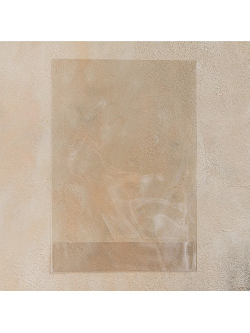 Пакет БОПП фасовочный, с донной складкой, прозрачный, 20×35 см