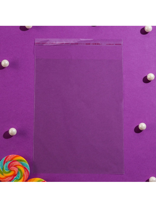 Пакет БОПП с клеевым клапаном, прозрачный для фасовки и упаковки, 17×22/4 см, 30 мкм