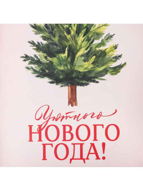 Коробка подарочная с пластиковой крышкой «Уютного Нового года!», 20×30×8 см