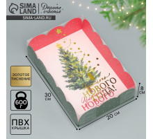 Коробка подарочная с пластиковой крышкой «Уютного Нового года!», 20×30×8 см