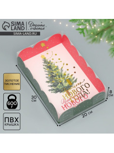 Коробка подарочная с пластиковой крышкой «Уютного Нового года!», 20×30×8 см