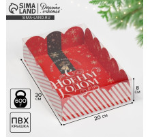 Коробка новогодняя подарочная с пластиковой крышкой «С Новым годом», 20×30×8 см