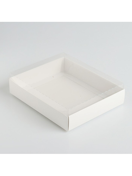 Коробочка для печенья с прозрачной крышкой 16×13×3 см