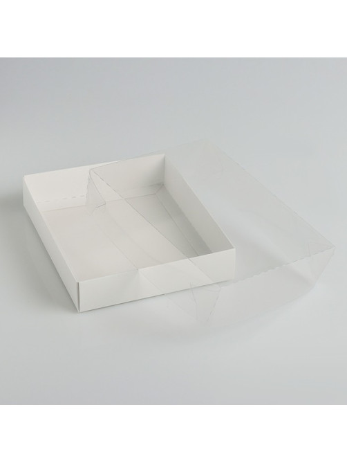 Коробочка для печенья с прозрачной крышкой 16×13×3 см