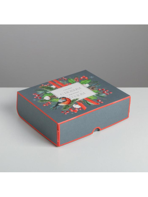 Упаковка для кондитерских изделий «С Новым годом!», 20×17×6 см