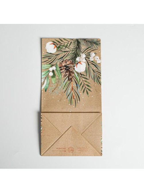 Пакет подарочный без ручек новогодний Present for you, 10×19×7 см