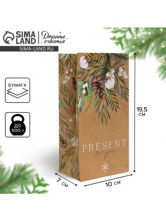 Пакет подарочный без ручек новогодний Present for you, 10×19×7 см