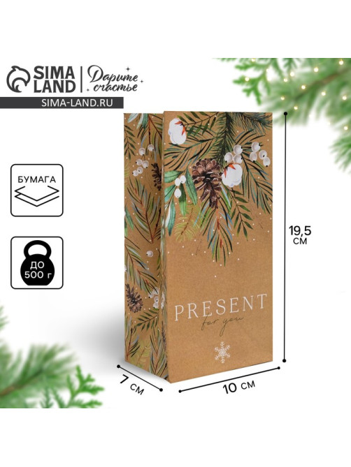 Пакет подарочный без ручек новогодний Present for you, 10×19×7 см