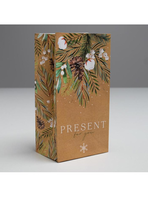 Пакет подарочный без ручек новогодний Present for you, 10×19×7 см