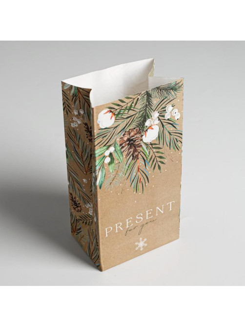Пакет подарочный без ручек новогодний Present for you, 10×19×7 см