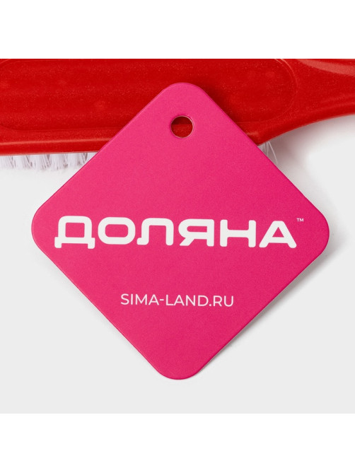Щётка для овощей и фруктов с ручкой Доляна, 17×3.3×2 см, МИКС