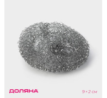 Губка для посуды Доляна, металлическая, 9×9×2 см