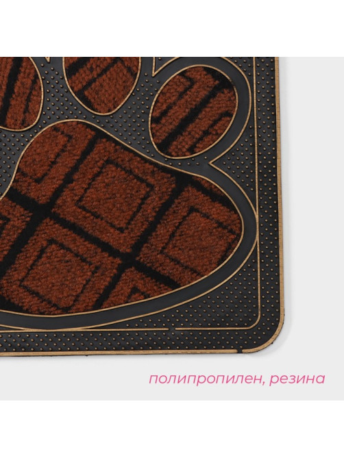 Коврик придверный Доляна «Лапка», 40×70 см, МИКС