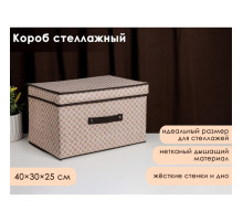Короб стеллажный для хранения с крышкой Доляна «Браун», 40×30×25 см, коричневый