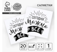 Салфетки бумажные «Сегодня можно всё», однослойные, 24×24 см, набор 20 шт.
