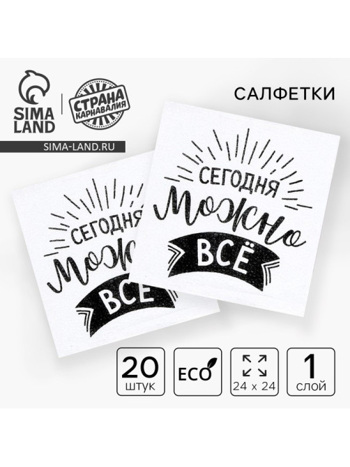Салфетки бумажные «Сегодня можно всё», однослойные, 24×24 см, набор 20 шт.