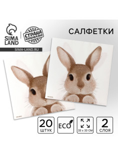 Салфетки бумажные однослойные «Кролик», 33×33 см, набор 20 штук