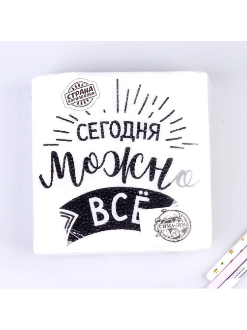 Салфетки бумажные «Сегодня можно всё», однослойные, 24×24 см, набор 20 шт.