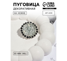 Пуговица декоративная, d=30 мм, цвет серебряный, чёрный
