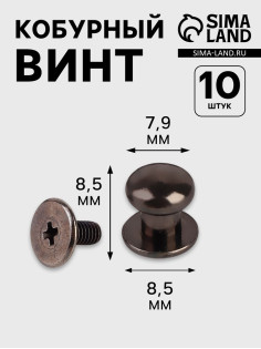 Кобурный винт d=7.9/8.5×8.5 мм, 10 шт., цвет чёрный никель