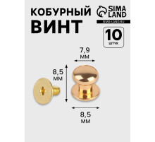 Кобурный винт d=7.9/8.5×8.5 мм, 10 шт., цвет золотой