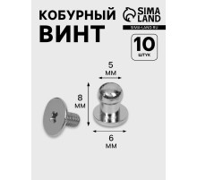 Кобурный винт d=5/6×8 мм, 10 шт., цвет серебряный