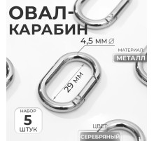 Овал-карабин, 38×24 мм / 29×15 мм, толщина - 4.5 мм, 5 шт., цвет серебряный
