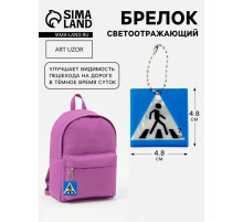 Светоотражающий элемент «Пешеходный переход», двусторонний, 4.8×4.8 см, синий