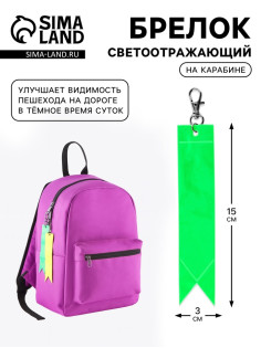Светоотражающий элемент «Флажок», 15×3 см, МИКС