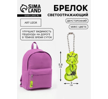 Светоотражающий элемент «Лиса», двусторонний, 3×5.8 см, МИКС