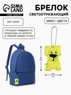 Светоотражающий элемент «Собака», двусторонний, 6×3.5 см, МИКС