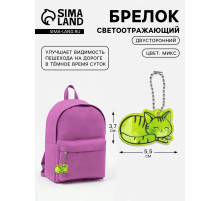 Светоотражающий элемент «Кошечка», двусторонний, 5.5×3.7 см, МИКС