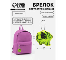 Светоотражающий элемент «Дракон», двусторонний, 5.3×5.8 см, МИКС