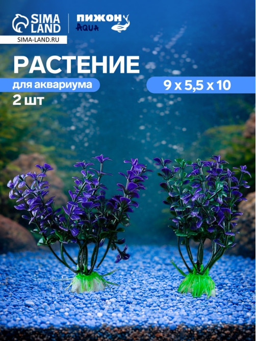 Набор растений для аквариума и террариума - 2 шт., 10 см