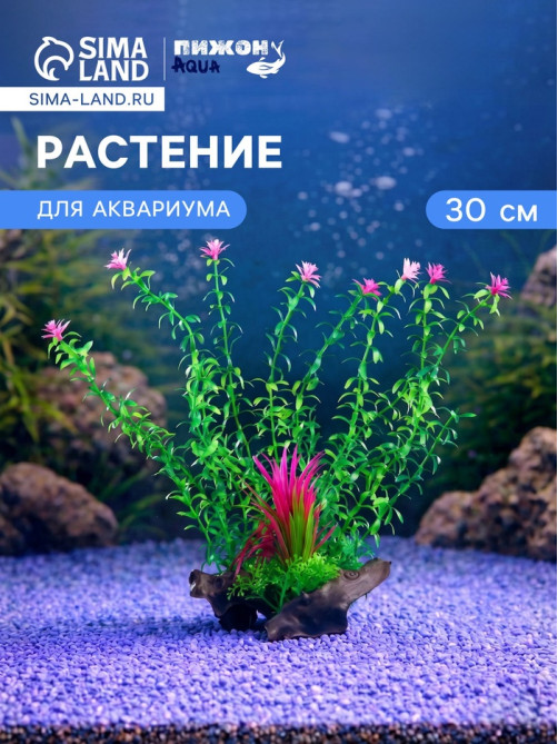 Растение искусственное аквариумное на платформе в виде коряги, 30 см, зелёное
