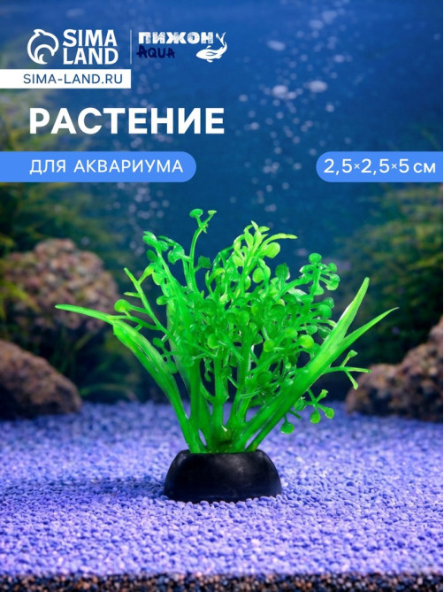 Растение для аквариума и террариума, 5 см, фасовка 10 шт.