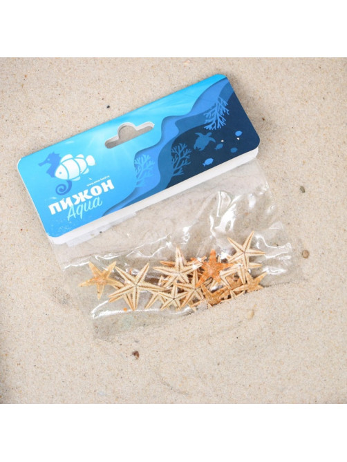Набор натуральных морских звезд, 1.5 - 2.5 см, 20 шт.
