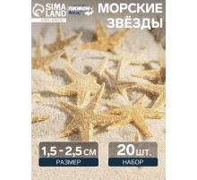 Набор натуральных морских звезд, 1.5 - 2.5 см, 20 шт.