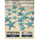 Набор натуральных морских звезд, 1.5 - 2.5 см, 20 шт., синий