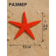 Набор натуральных морских звезд, 1.5 - 2.5 см, 20 шт., красные - белые