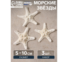 Набор из 3 морских звезд, размер каждой 5-10 см, белые