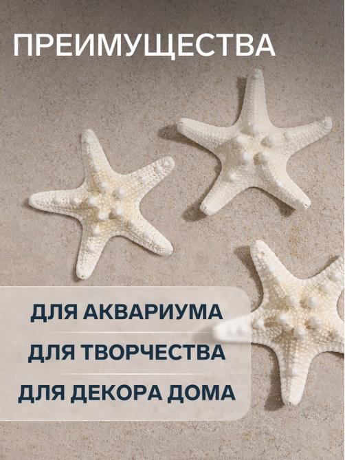Набор из 3 морских звезд, размер каждой 5-10 см, белые