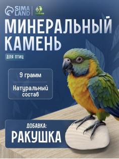 Минеральный камень «Пижон» для птиц, ракушка, 9 г