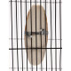 Панцирь каракатицы для птиц, 10-12 см, белый