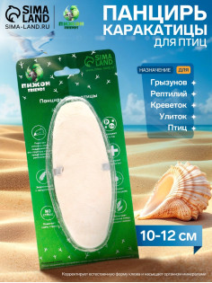 Панцирь каракатицы для птиц, 10-12 см, белый