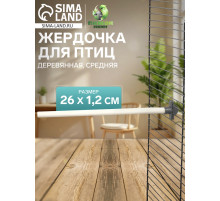 Жёрдочка для птиц «Пижон», 26×1.2 см, средняя, дерево, бежевая