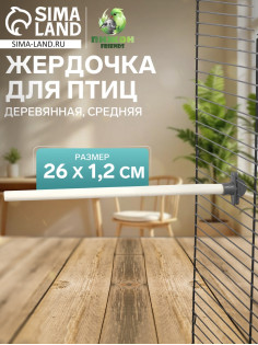 Жёрдочка для птиц «Пижон», 26×1.2 см, средняя, дерево, бежевая