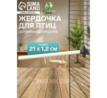 Жёрдочка для птиц «Пижон», 21×1.2 см, средняя, дерево, бежевая